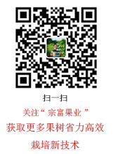 添加微信